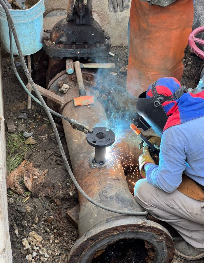 WhatsApp Image 2023-02-10 at 7.04.09 PM